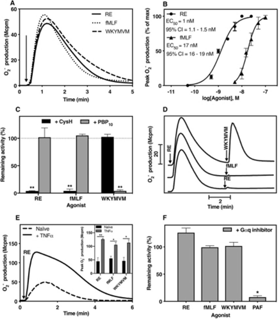 Preclinical data figure showing functional selective FPR1 signalling and NOX2 activation